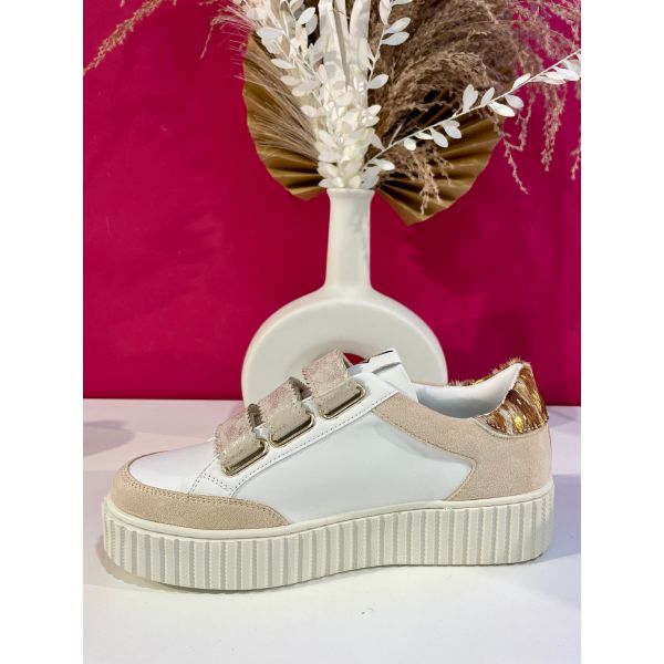 Basket CL11 - Intuitive