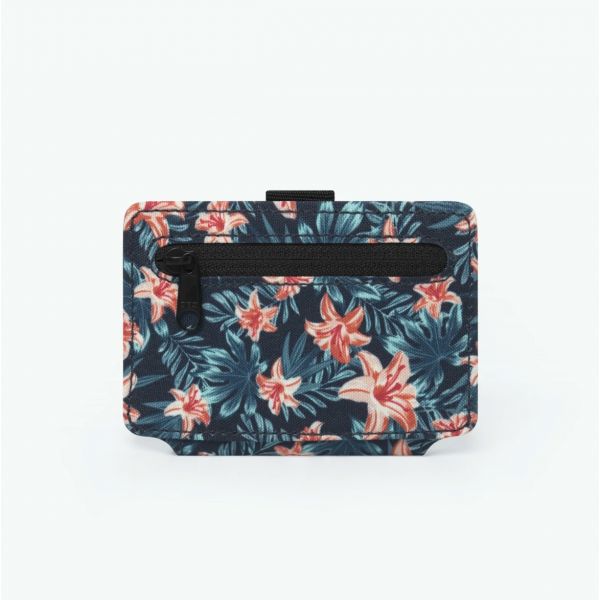 CARTE SANPETRONIO CABAIA